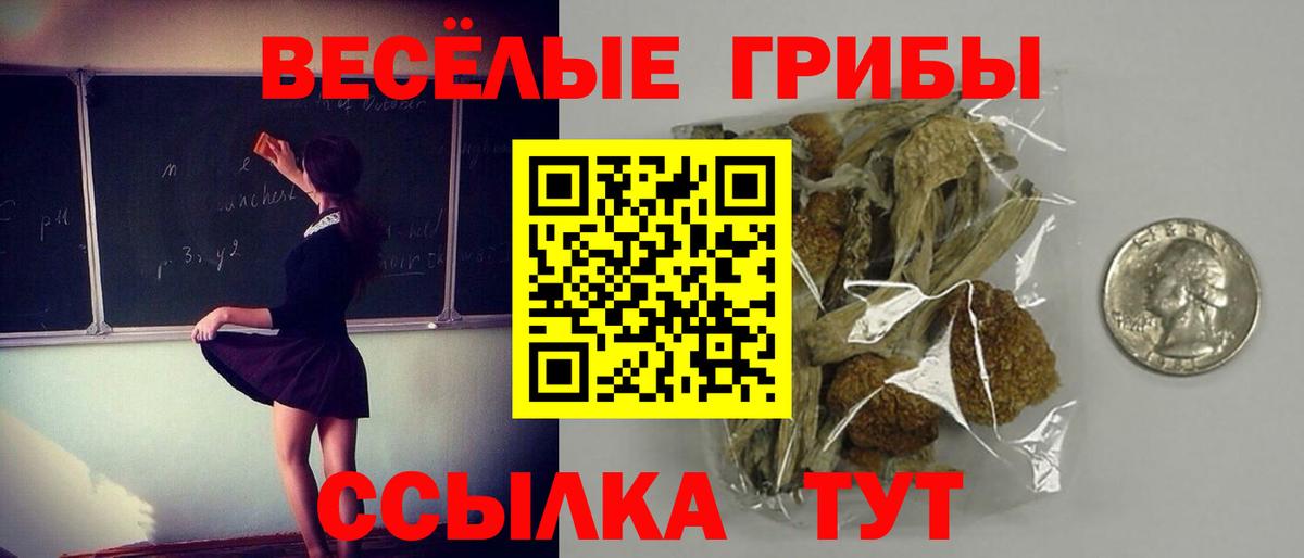 где купить   Вход с VPN  Гай  Галлюциногенные грибы MAGIC MUSHROOMS 