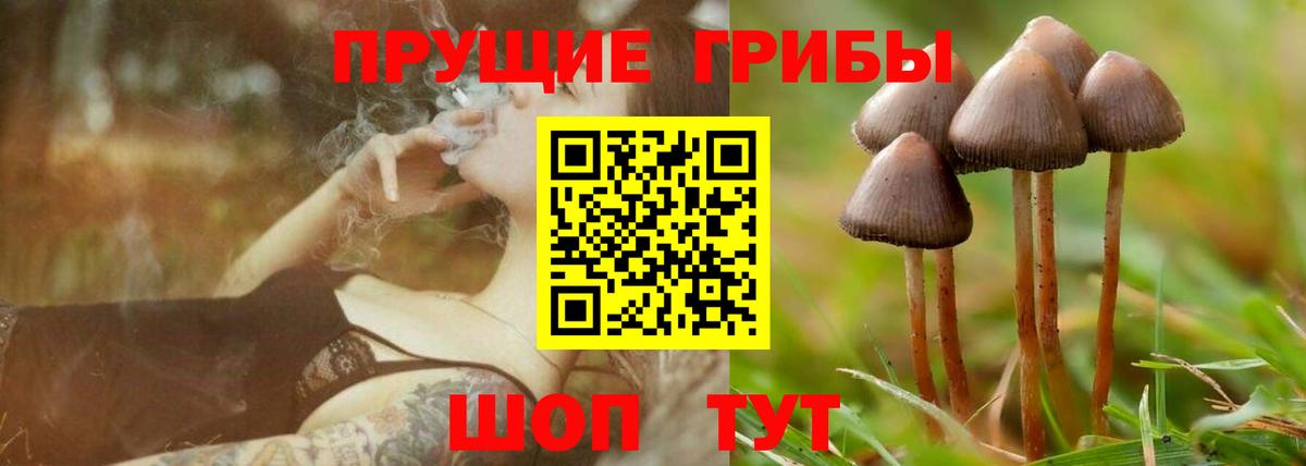 Галлюциногенные грибы прущие грибы Гай