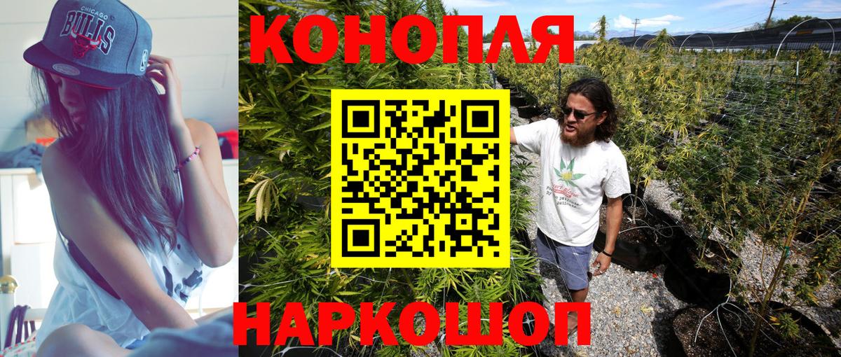 Бошки Шишки гибрид Гай
